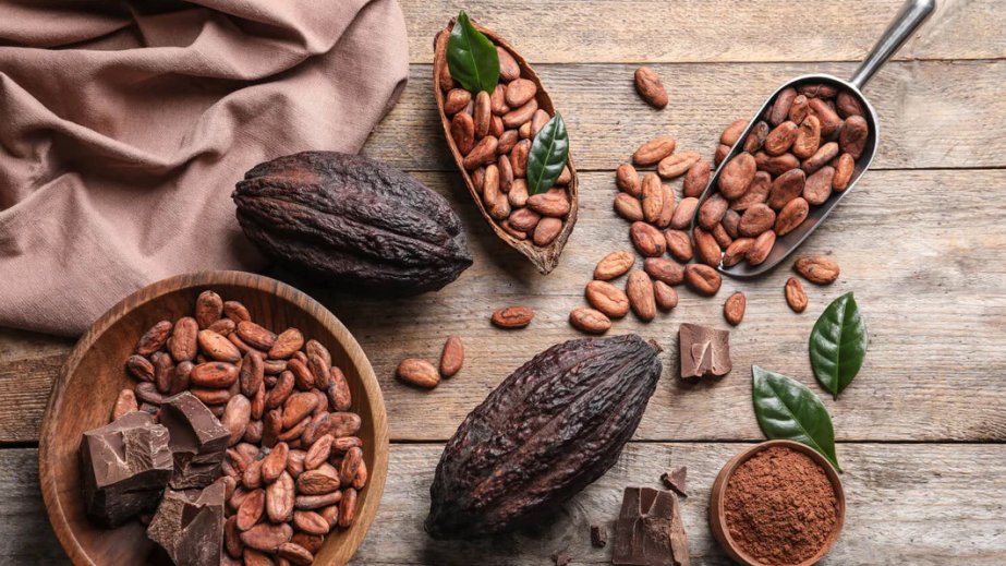 Kakaonun beynin fəaliyyətinə təsir edən gözlənilməz effekti aşkar olunub