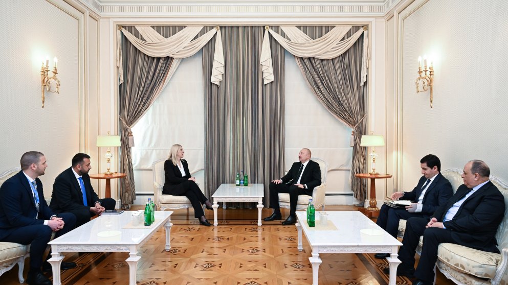 Prezident İlham Əliyev Bosniya və Herseqovina Rəyasət Heyətinin üzvü ilə görüşüb
