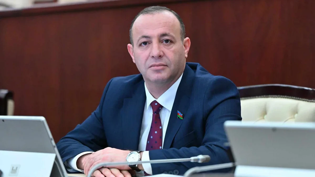 Vasif Qafarov: Yeni sahibkarlıq subyektlərinə lisenziyaların dayandırılması turizm potensialının reallaşmasına imkan vermir