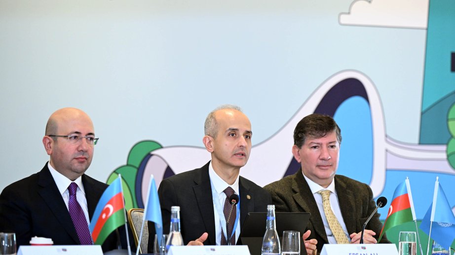 UN-Habitat official: Eastern Europe and Central Asia region offers vital opportunities for advancing urban transformation