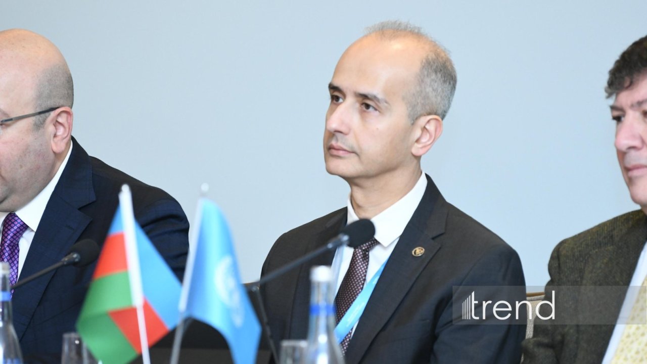 Orta Dəhlizin inkişafı balanslaşdırılmış yanaşma tələb edir - İrfan Əli