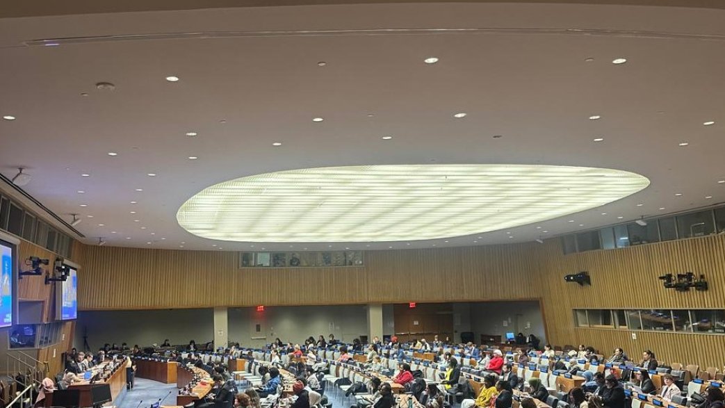 Azerbaijani NGO delegation participates in UN conference in New York