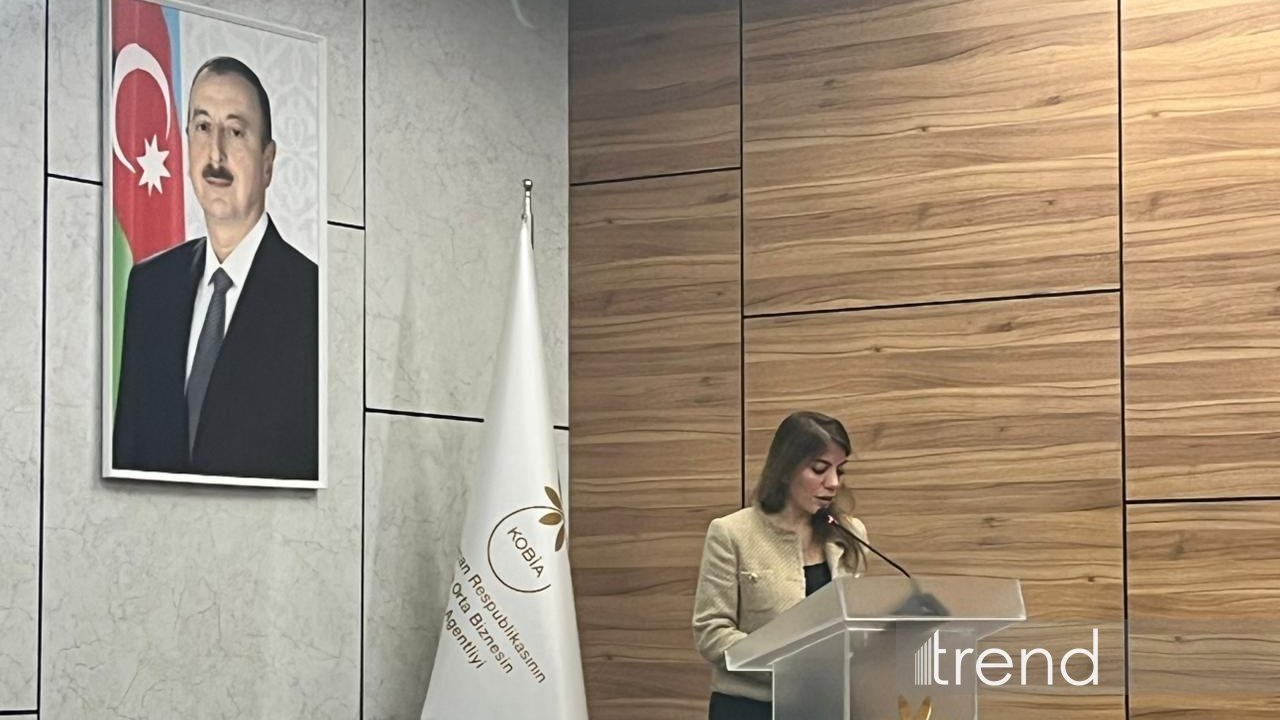 Ələt Azad İqtisadi Zonası regional logistika və sənaye habına çevrilir - AZPROMO rəsmisi