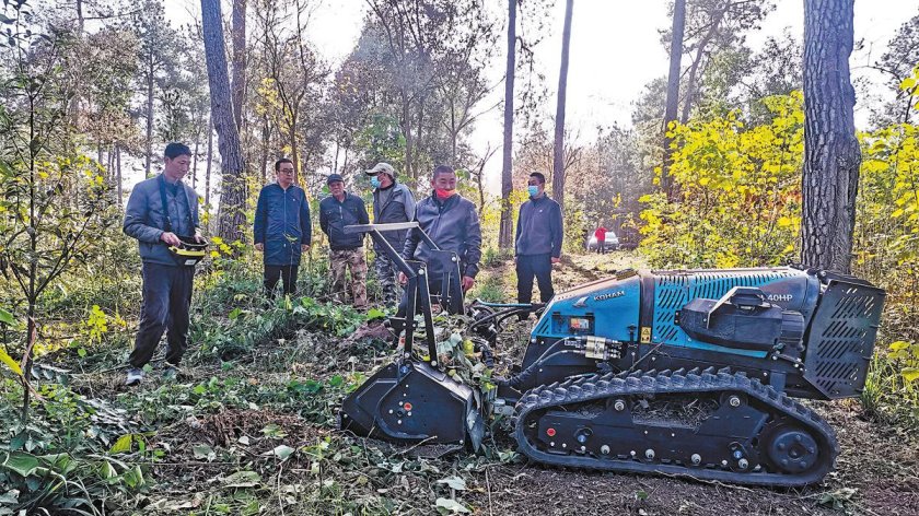 Robots in China help to protect forests