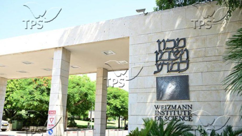 Probiotics could become a new tool to strengthen ımmunity in HIV patients