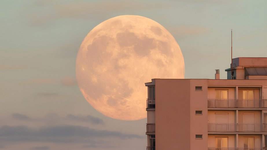 Tədqiqat: Yer Ayı kosmik radiasiyadan qoruyurmuş