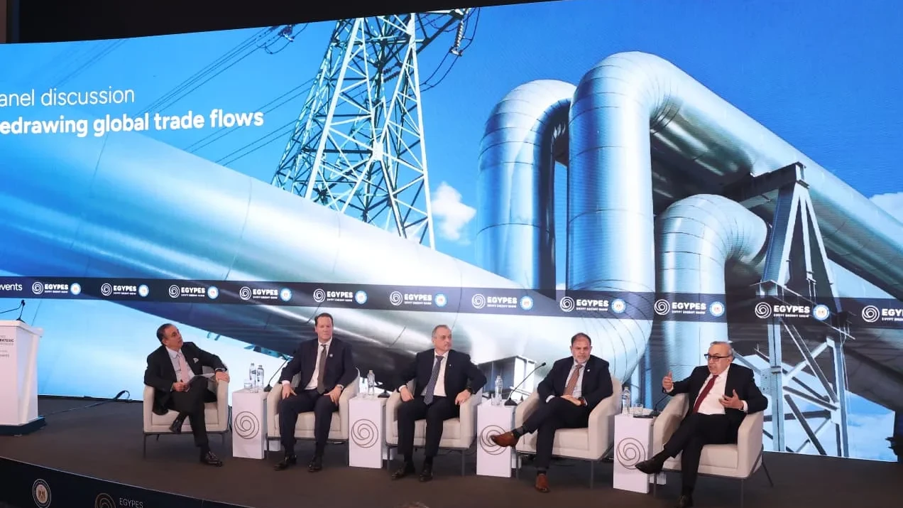 Azərbaycan və Misir enerji əməkdaşlığını gücləndirir