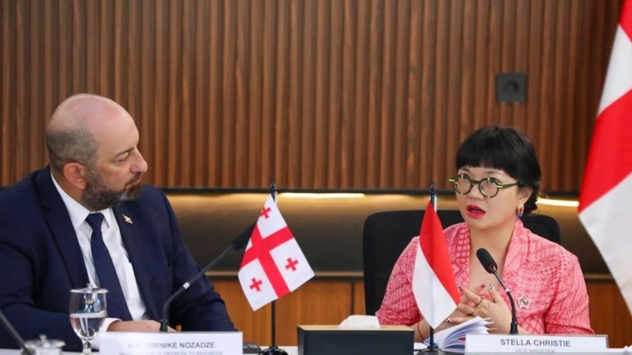 Indonesia, Georgia advance talks on higher education partnership