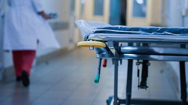 İki həftə ərzində Biləsuvarda 26 nəfəri it dişləyib