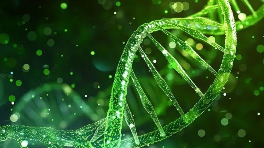 Vietnamese scientists unlock genetic insights into rare diseases