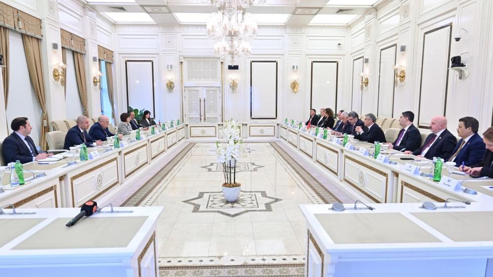 Sahibə Qafarova Azərbaycan, Türkiyə və Şimali Kipr parlamentlərinin dostluq qruplarının 3-cü görüşünün iştirakçıları ilə görüşüb