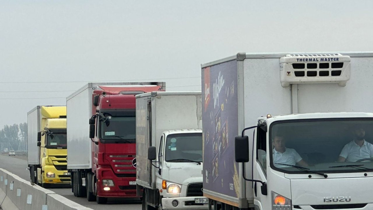 Azərbaycandan İtaliyaya tonlarla qurbağa ayağı göndərilib