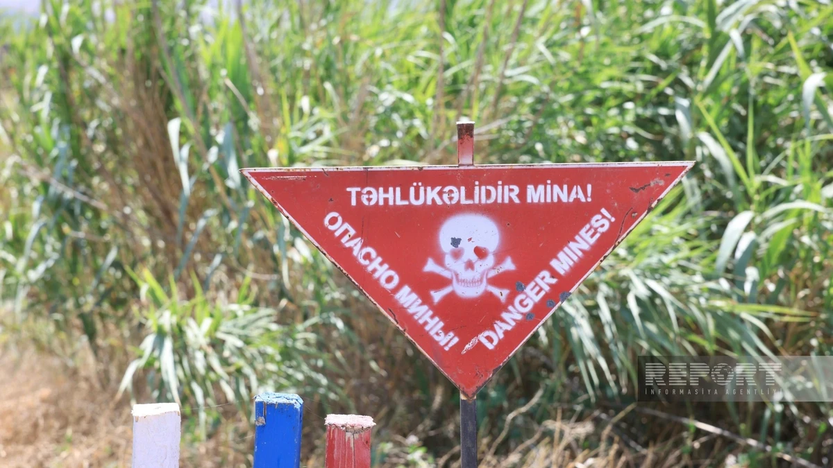 Həlak olan minatəmizləyənlərin övladlarının təhsilhaqlarının dövlət hesabına ödənilməsi təklifi ilk oxunuşda qəbul edilib