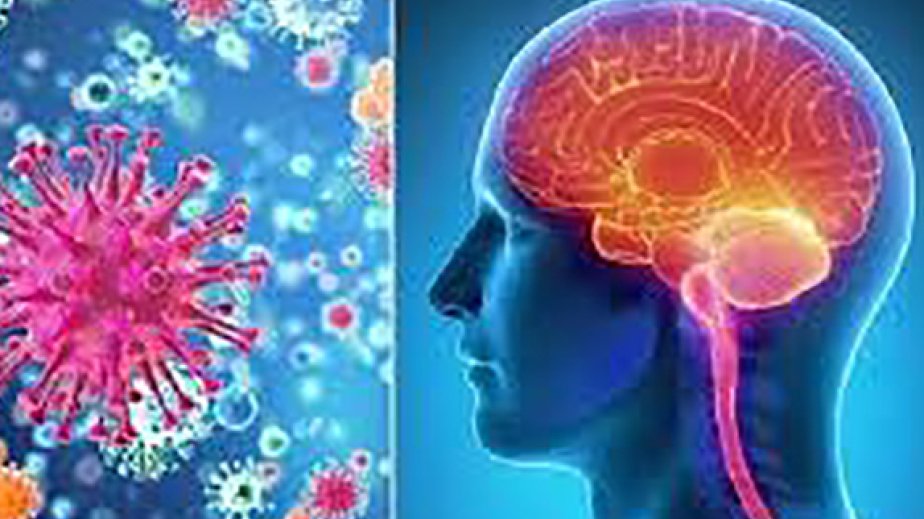 Vietnam raises alert over meningococcal disease after 4 deaths