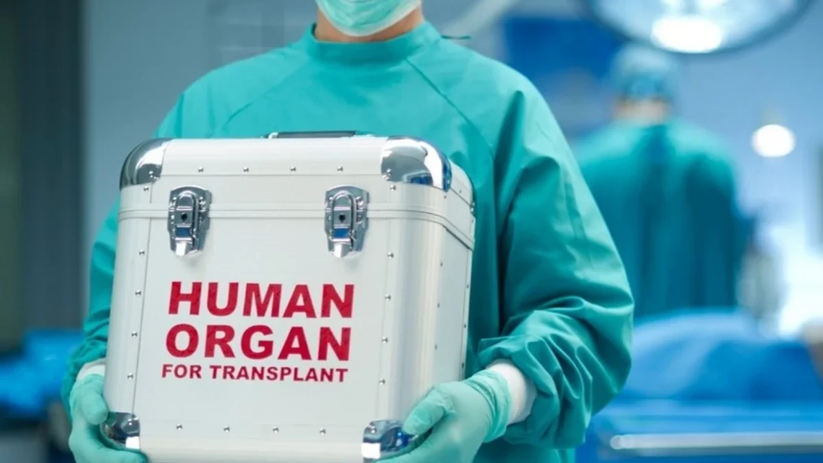 Azərbaycanda beyin ölümü keçirmiş 13 meyid donordan 73 orqan və toxuma transplantasiya edilib