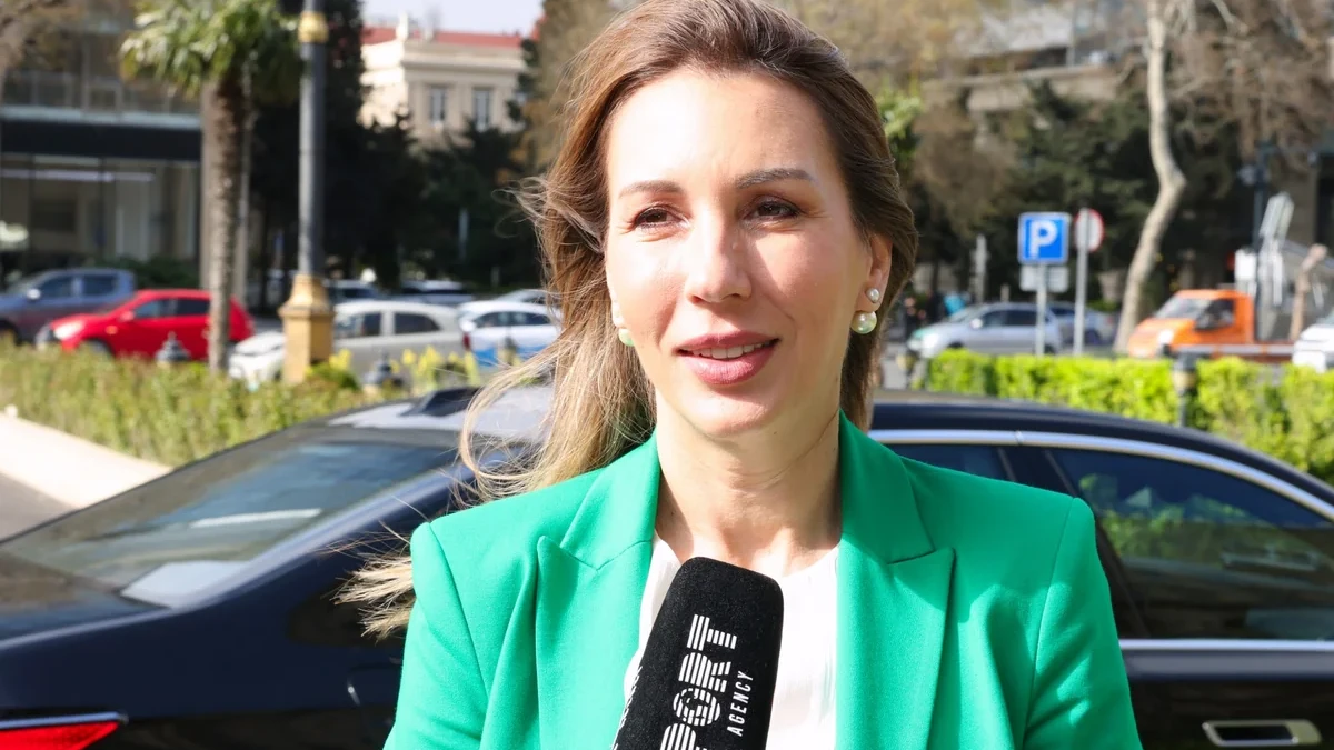 Nazir: "Serbiya Makedoniya və Yunanıstanla yeni bağlantılar vasitəsilə Azərbaycan qazının idxalını artıracaq" - MÜSAHİBƏ