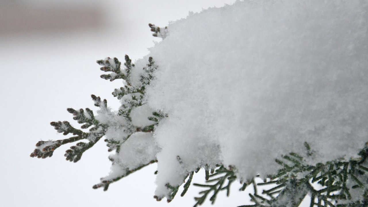 Rayonlara qar yağır - Şahdağda qarın hündürlüyü 1 metri keçib