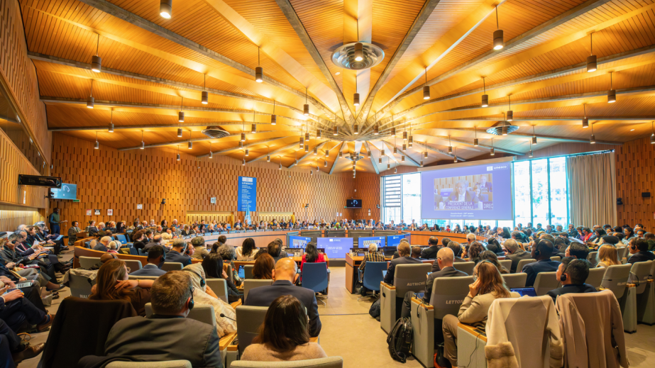 Azerbaijan’s statement read out at 224th session of UNESCO Executive Board