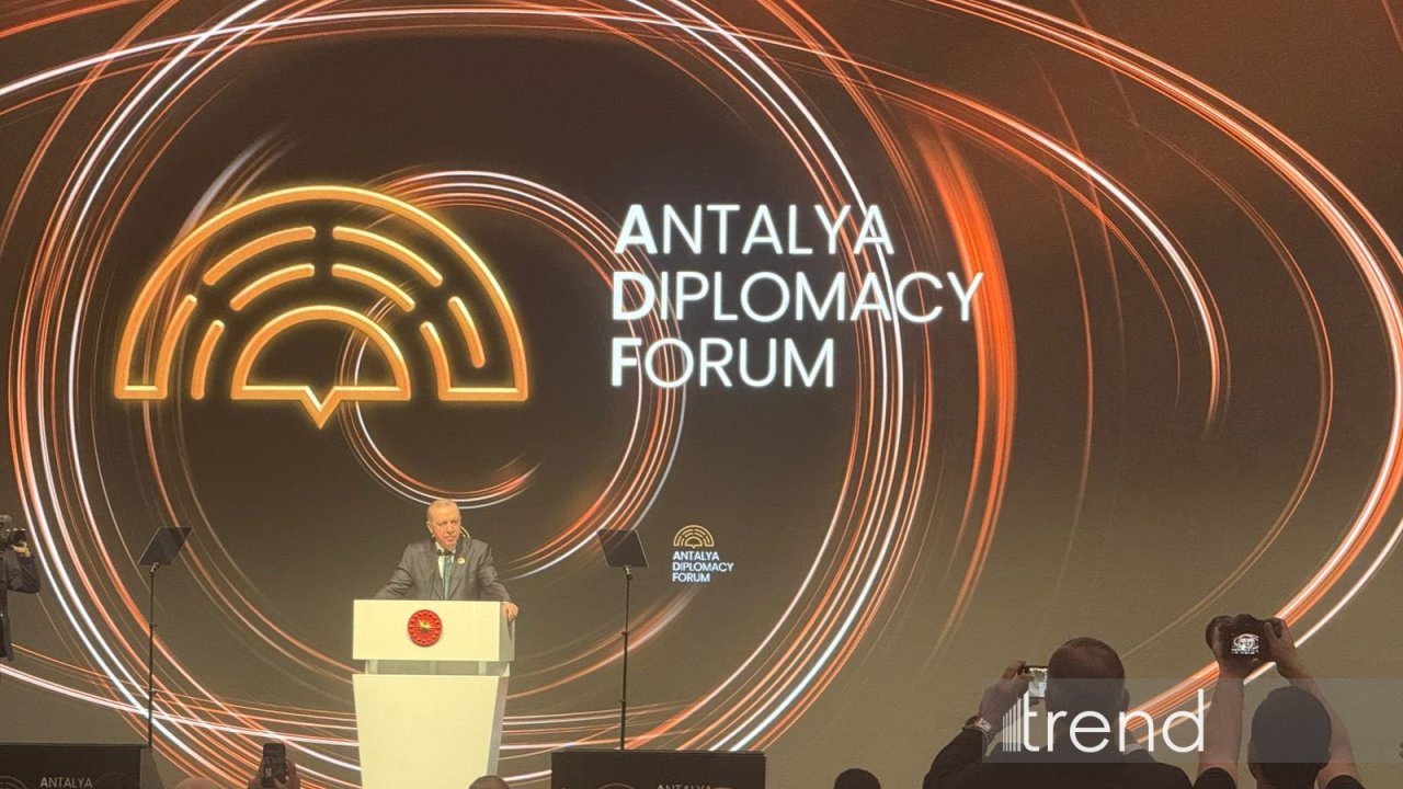 Bu gün dünya eyni vaxtda həm güc böhranı, həm də sabitlik böhranı yaşayır - Ərdoğan