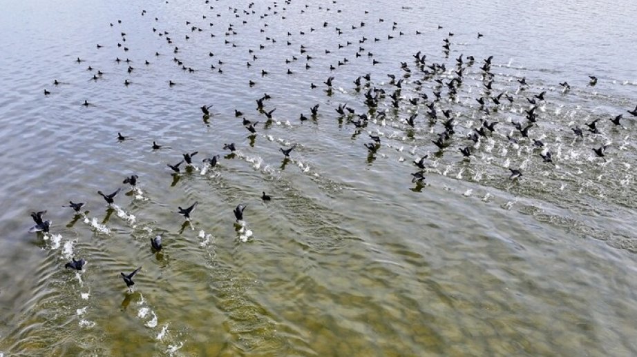 UNESCO sites protect wildlife, climate, livelihoods despite growing pressure, report finds