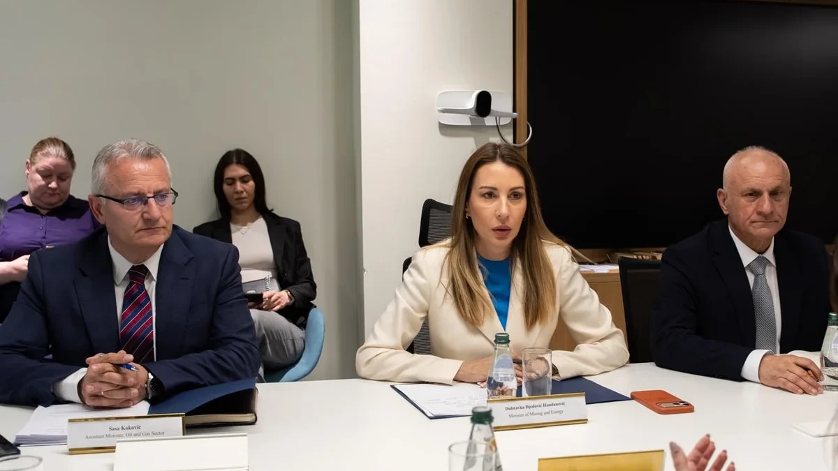 Azərbaycan Serbiya ilə qaz elektrik stansiyası üzrə birgə müəssisə yaradacaq