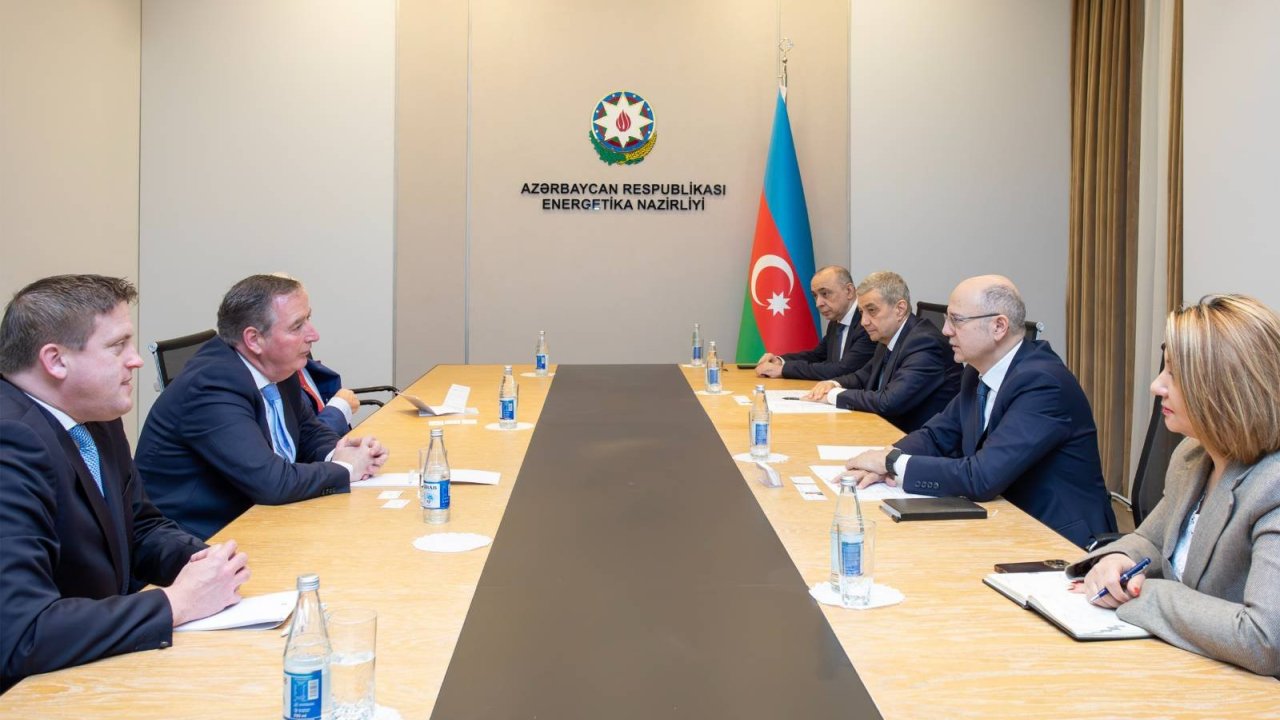 İrlandiya şirkətləri Azərbaycanda "yaşıl enerji" layihələrinə investisiya yatırmağa dəvət olunub