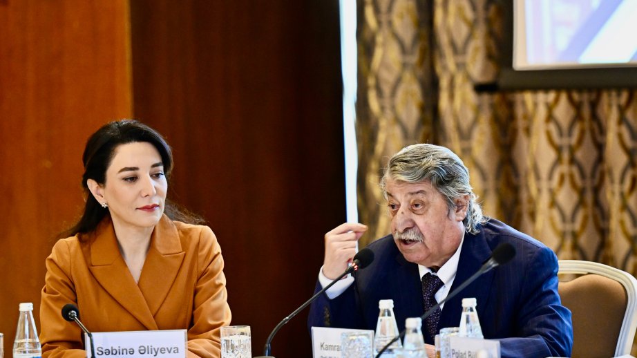 Agentliyin rəhbəri: Təəssüf ki, qədim xəstəliyin residivləri bu gün də özünü büruzə verir