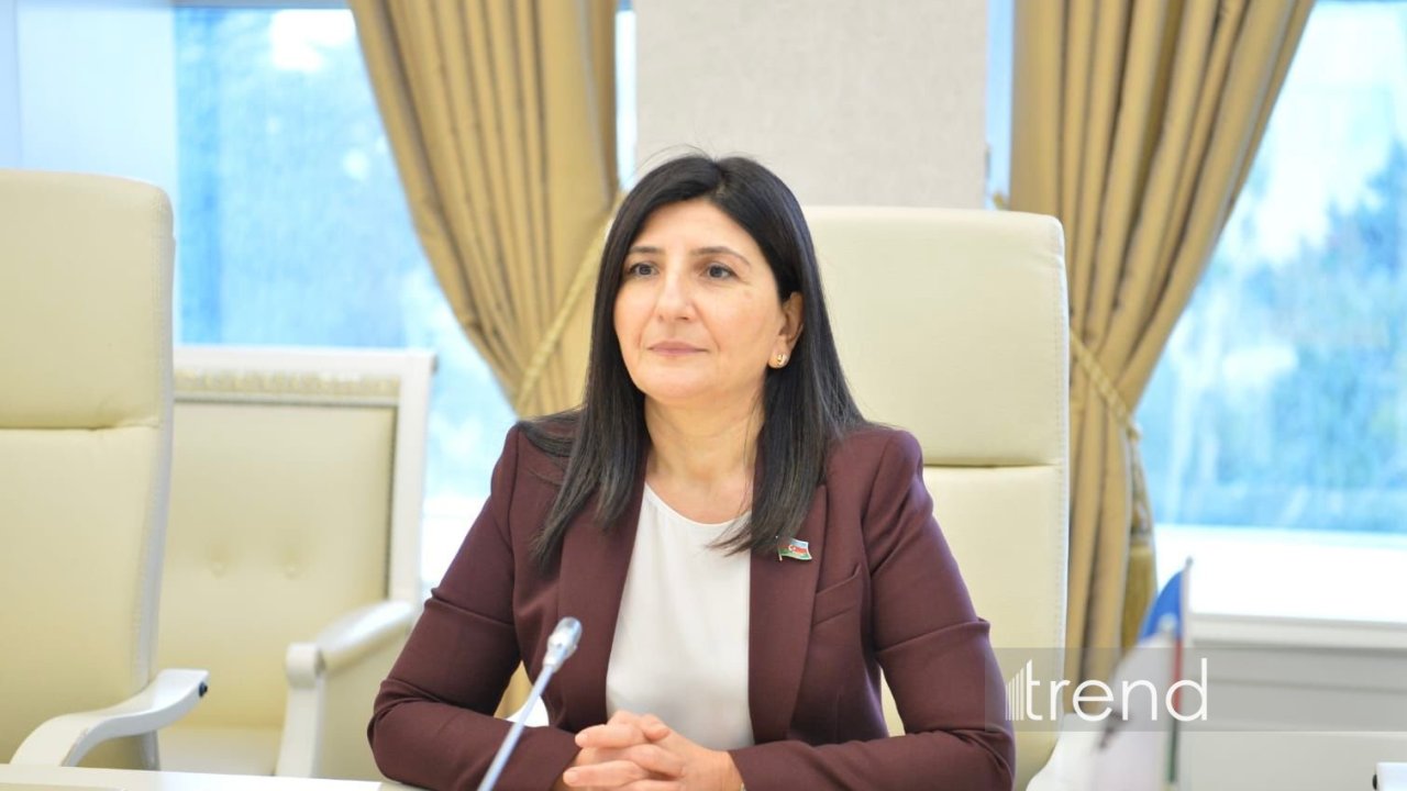 İşğal dövründə Ermənistan tərəfindən Azərbaycanın mədəni irsinə qarşı sistemli dağıntılar həyata keçirilib - Sevil Mikayılova