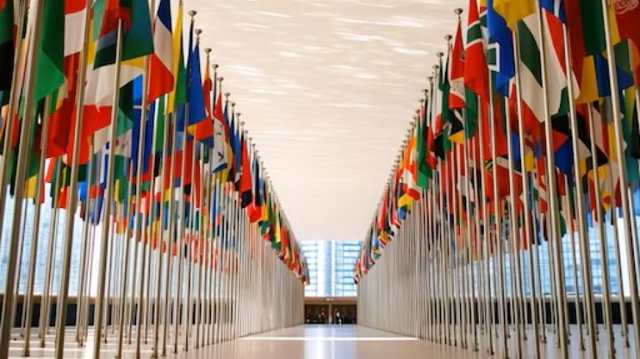 24 aprel - Sülh naminə Beynəlxalq Çoxtərəflilik və Diplomatiya Günü