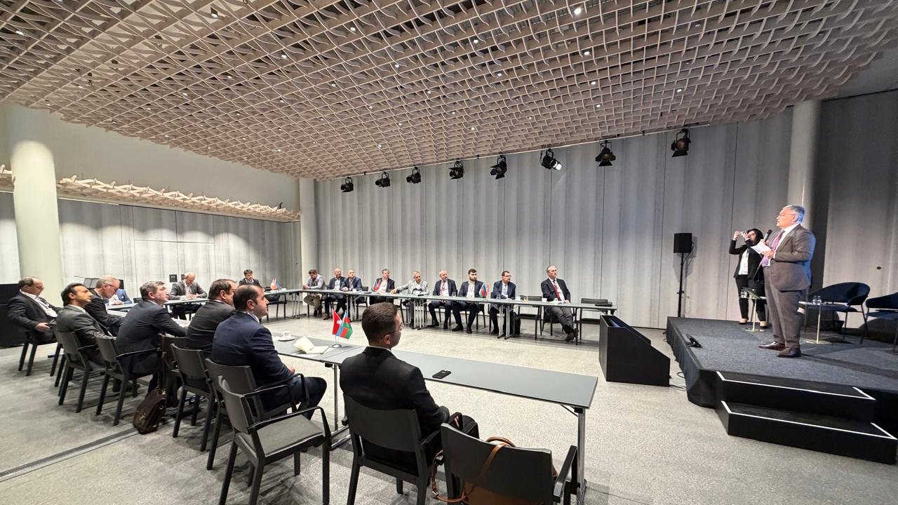 İsveçrədə Azərbaycanın biznes və investisiya potensialı tanıdılıb