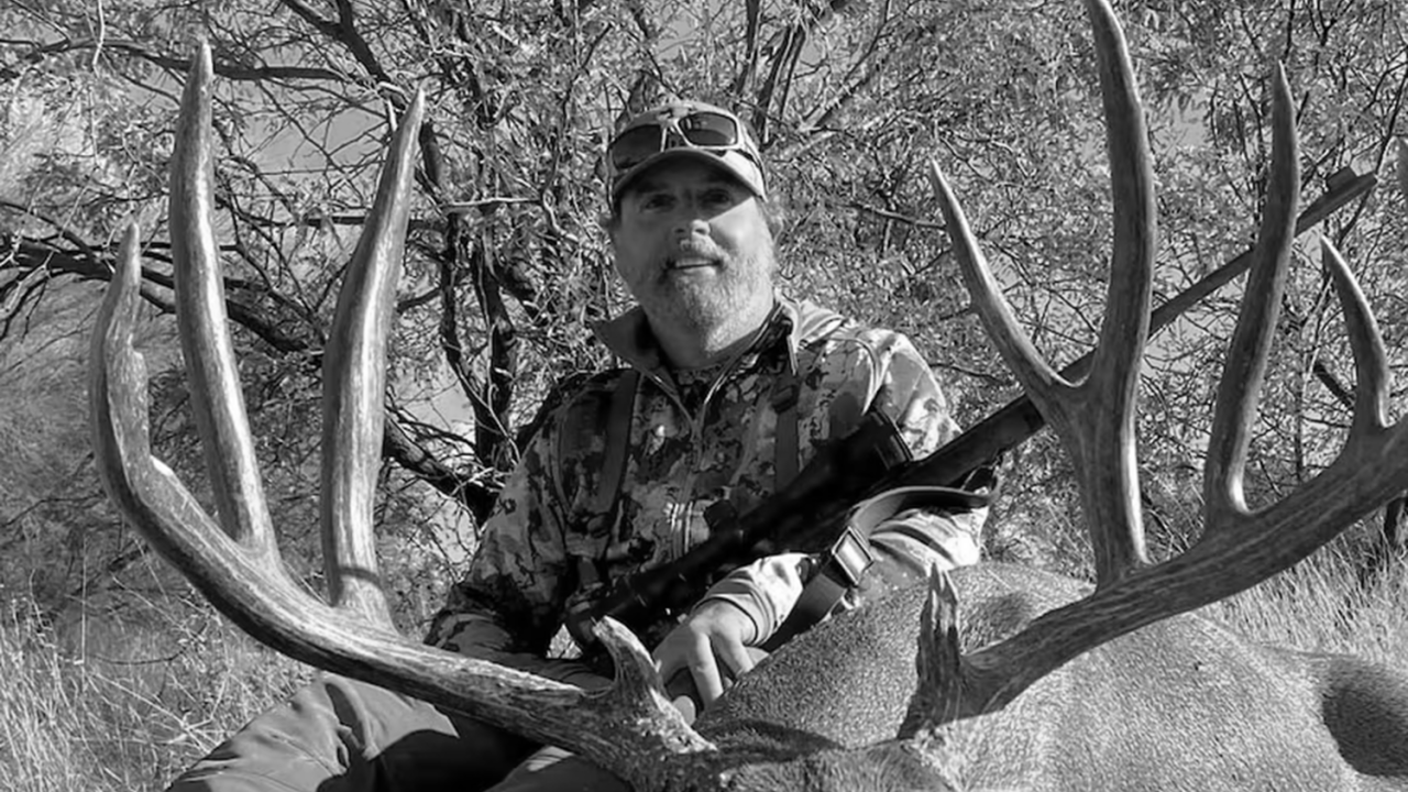 Afrikada amerikalı milyarderi fillər tapdalayıb öldürdülər