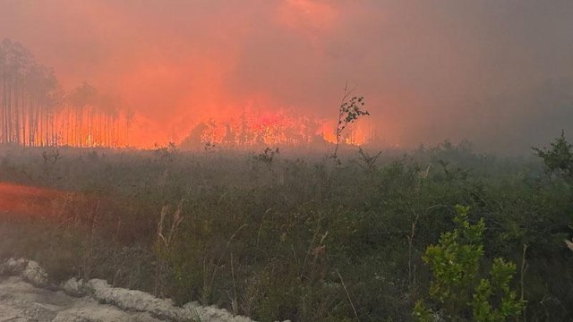 ABD'de orman yangınlarında 120'den fazla ev yandı