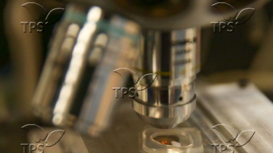 Scientists decode bacterial mechanism driving drug resistance