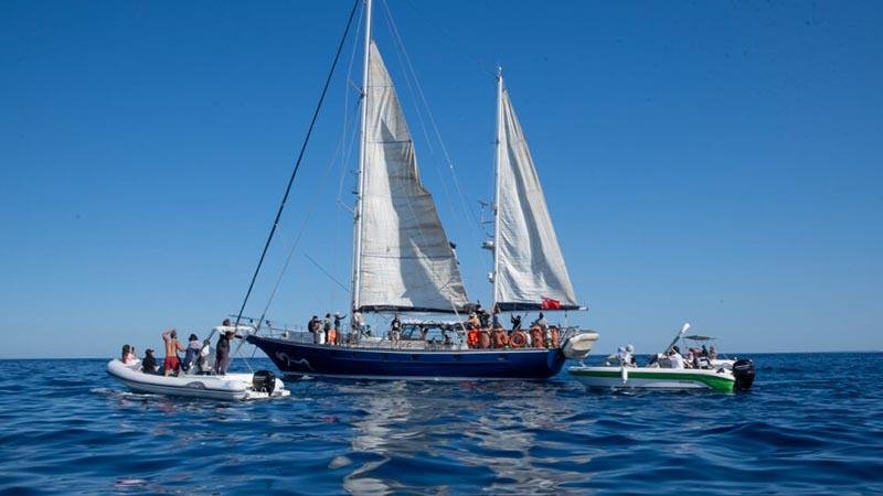 Qlobal Sumud Donanması '2026 Bahar Missiyası' İtaliyadan yola çıxdı