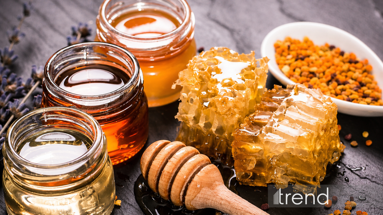 Azərbaycanda bala dair yeni qaydalar hazırlanır