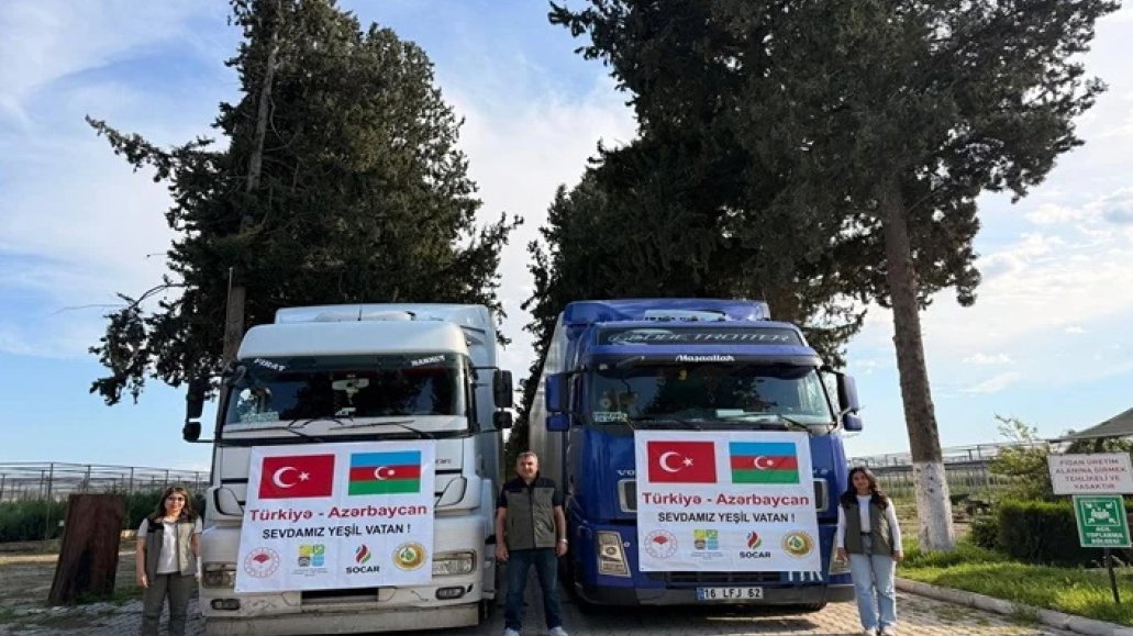 Türkiye’s Şanlıurfa Province sends thousands of saplings to Azerbaijan