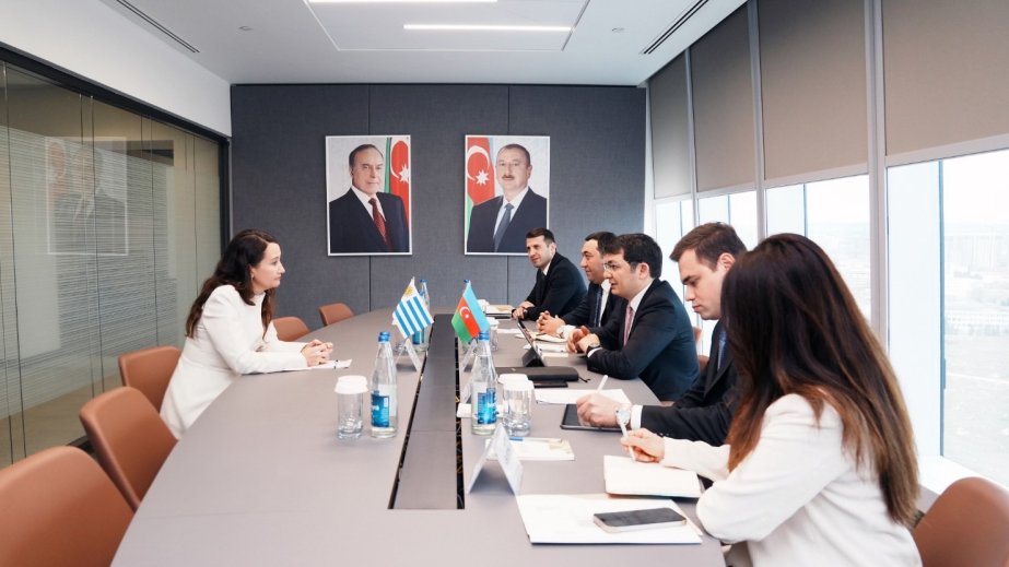 Azerbaijan, Uruguay explore transport and logistics potential