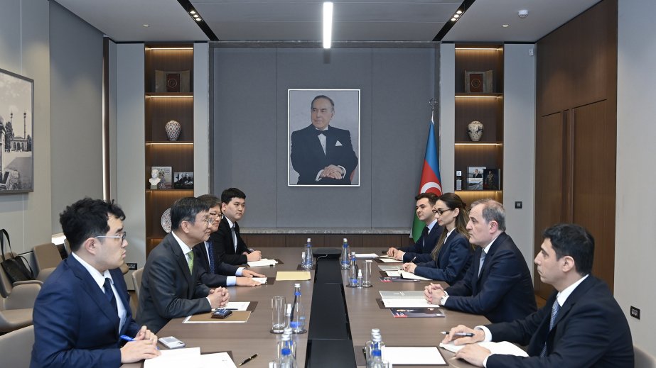 Minister: Azerbaijan takes comprehensive approach to election of judges to International Court of Justice
