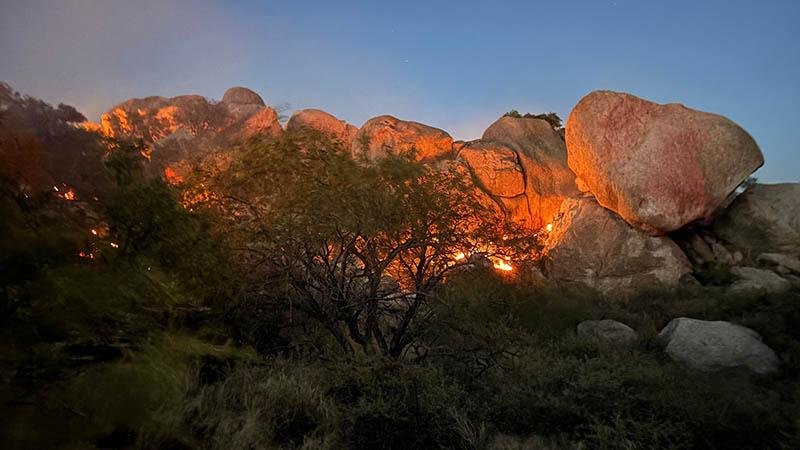 ABD’nin Arizona eyaletinde yangın; 2 bin 200 dönüm alan küle döndü