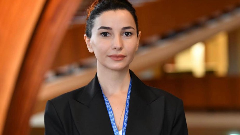 Gürcüstanlı nazir: Biz Azərbaycan, Orta Asiya ölkələri və Çin ilə fəal çalışırıq