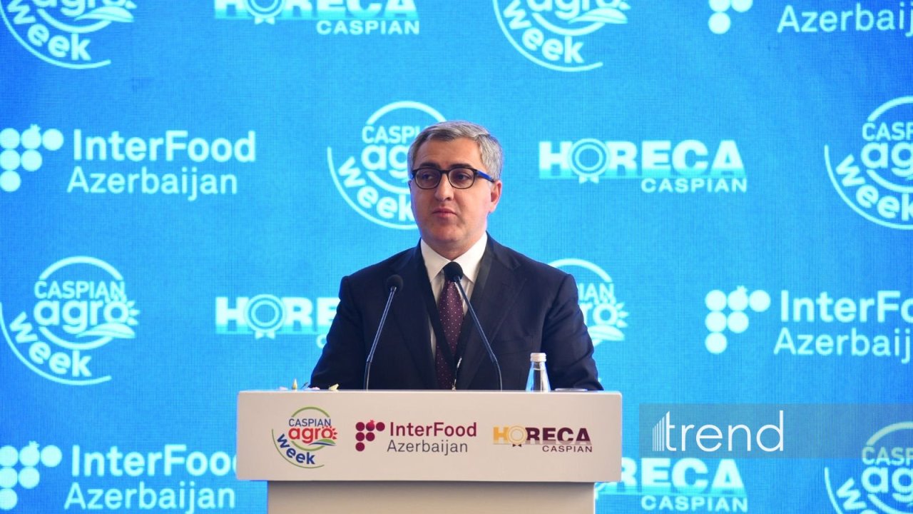 Cari ilin ilk rübündə qeyri-neft-qaz ixracının dəyəri illik müqayisədə 12% artıb - Yusif Abdullayev