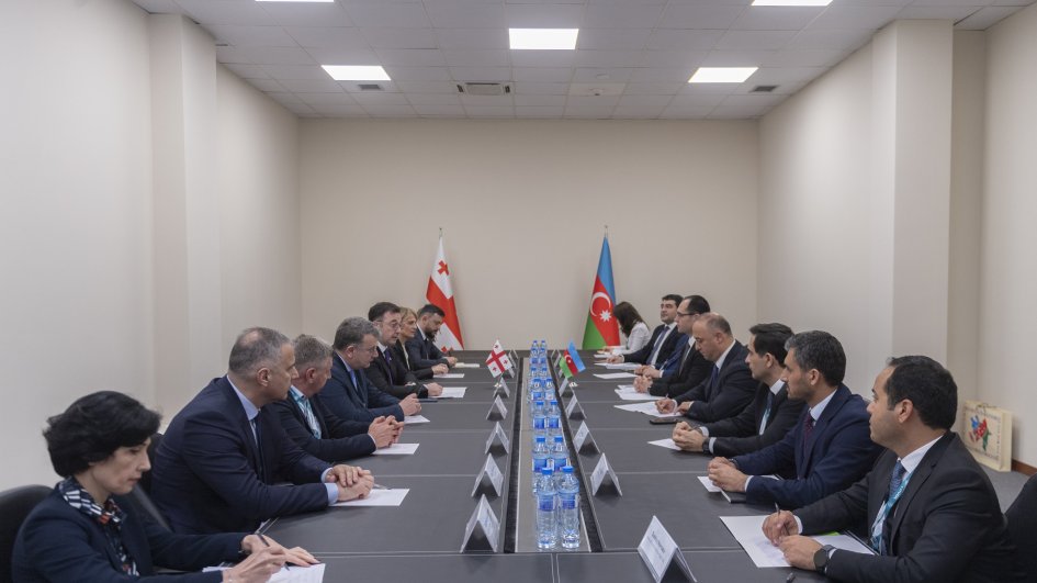 Georgian Agriculture Minister: We are keen on developing partnership relations with Azerbaijan in all areas
