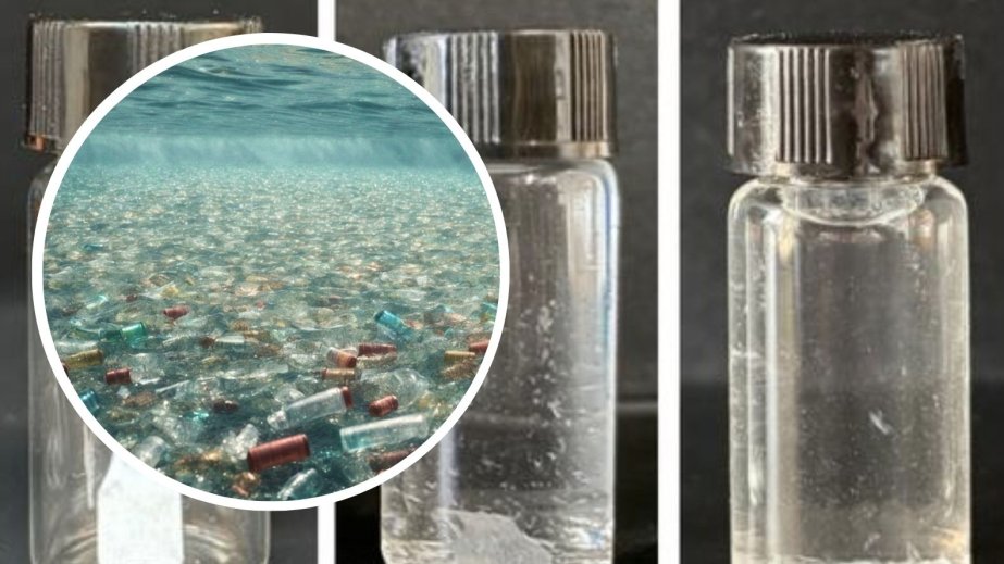 Alimlər komanda ilə özü-özünü məhv edə bilən “canlı plastik” hazırlayıblar