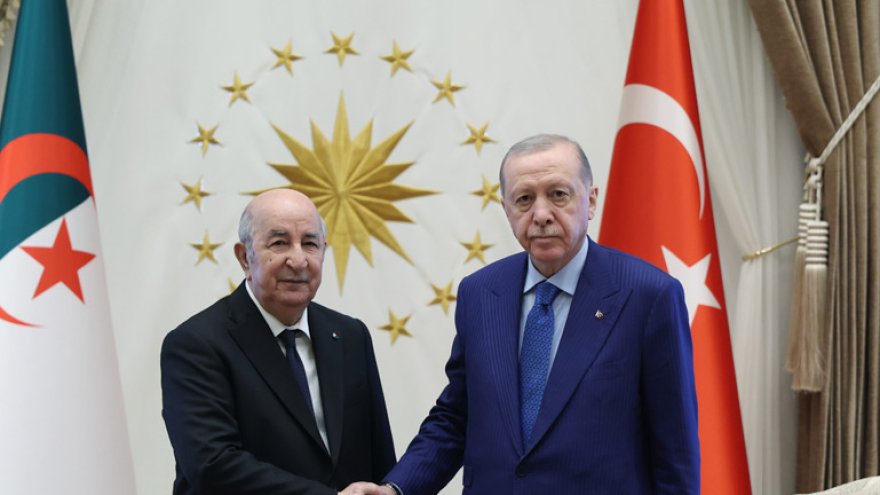 Türkiye, Algeria vow deeper strategic cooperation as presidents meet