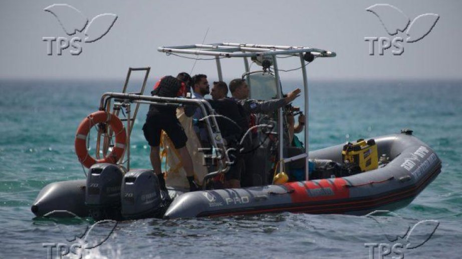 Israeli researchers detect industrial contaminants in Mediterranean sharks