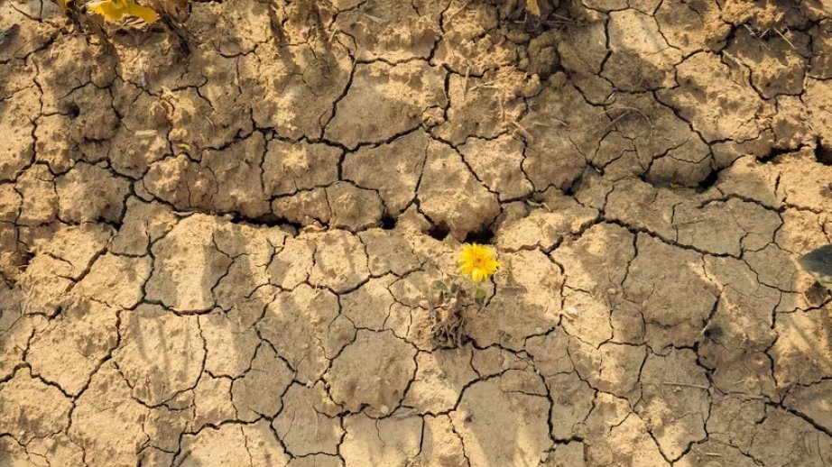 Scientists warn super El Niño could drive record global heat