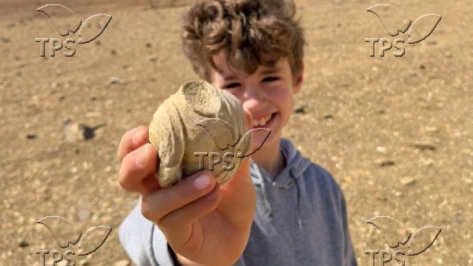 Child’s desert discovery leads to rare Roman-Era archaeological find