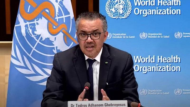 DSÖ: Ülkeler yeni hantavirüs vakalarına karşı hazırlıklı olmalı