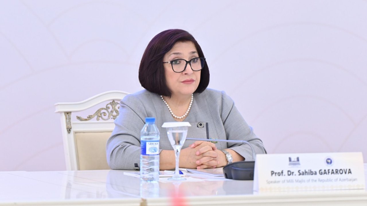 Azərbaycan-Slovakiya əlaqələri strateji tərəfdaşlıq səviyyəsinə yüksəlib - Sahibə Qafarova