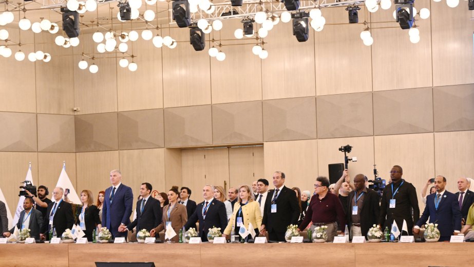Azerbaijani representative elected Secretary-General of Global South NGO Platform